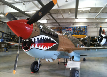 Curtiss P-40 Warhawk+